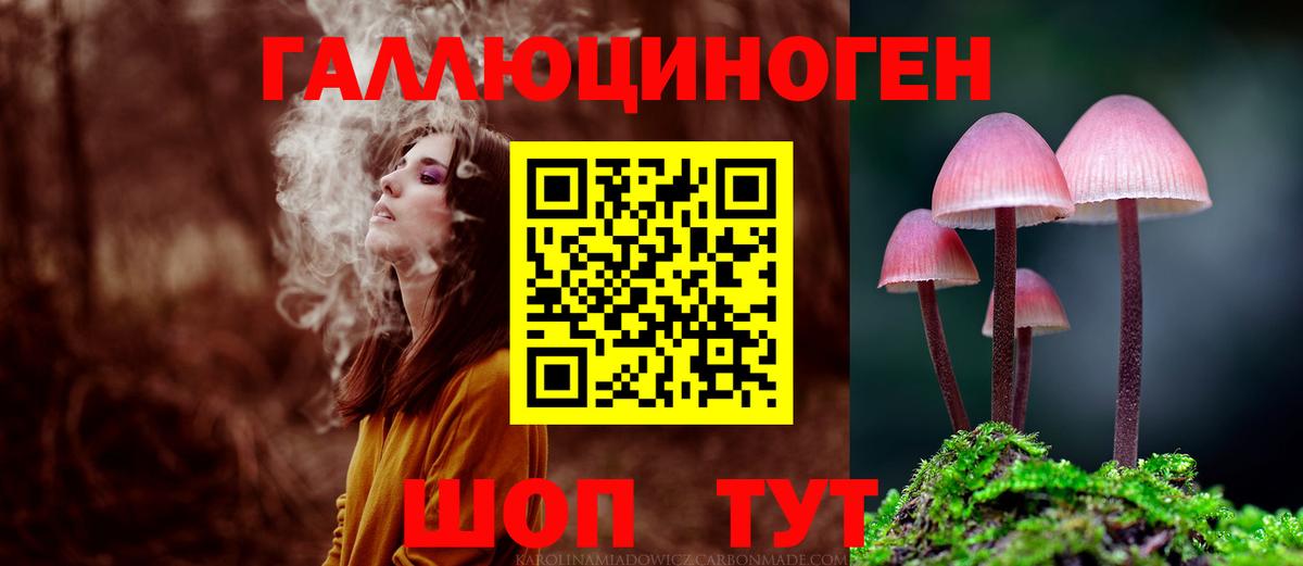 Сертолово  Псилоцибиновые грибы мицелий  Вход с VPN 